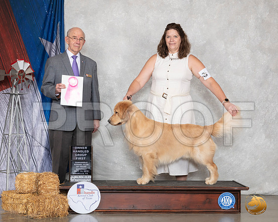 Golden Retriever #5 Sat G1 Judge Kenneth Buxton__SR_8804_Amrilo2019-HR3