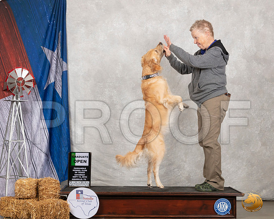 Golden Retriever #O23 Sat Opn Grad__SR_8540_Amrilo2019-HR3