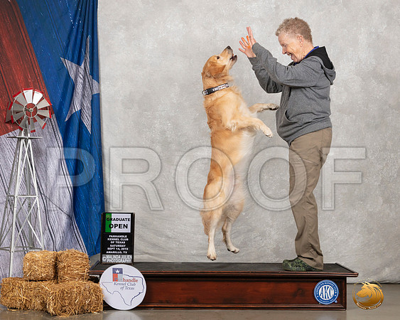 Golden Retriever #O23 Sat Opn Grad__SR_8541-Edit_Amrilo2019-HR3