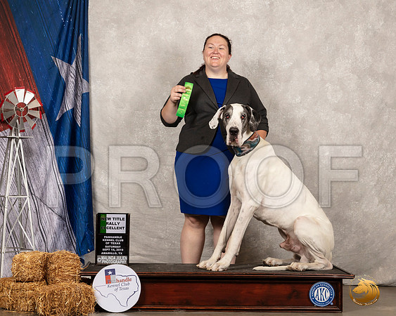 Great Dane #R24 Sat REX__SR_8626_Amrilo2019-HR3