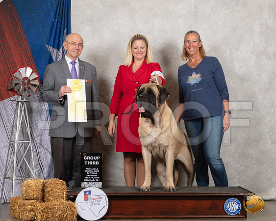 Mastiff #14 Sat G3 Judge Kenneth Buxton__SR_8681_Amrilo2019-HR3