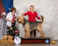 Otterhound #5 Sat G2 Judge Elizabeth Muthard
