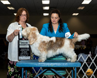 PBGV #5 Sat NGrCh Judge Elizabeth Muthard