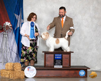 PBGV #6 Sat G1 Judge Elizabeth Muthard