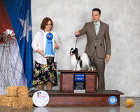Papillon #14 Sat G1 Judge Elizabeth Muthard