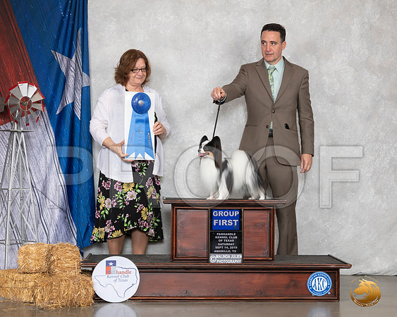 Papillon #14 Sat G1 Judge Elizabeth Muthard__SR_8809_Amrilo2019-HR3