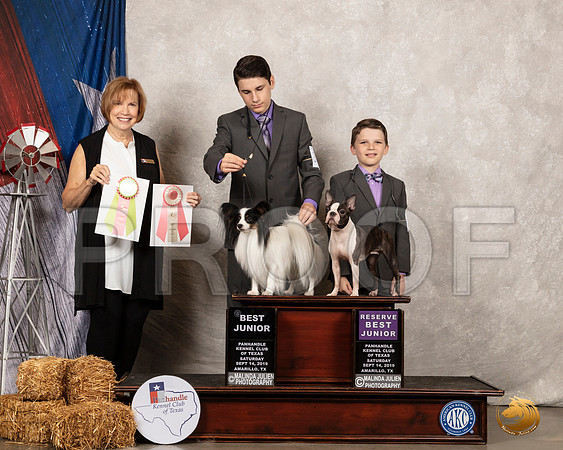 Papillon #J600 Boston #J403 Sat BJr RBJr Judge Nancy Liebes__SR_8632_Amrilo2019-HR3