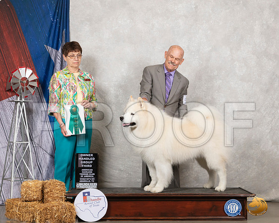 Samoyed #5 Sat G3 Judge Donna Buxton__SR_8700_Amrilo2019-HR3