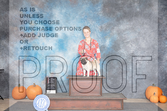 Pug #9 Sat WDBOS M NCH Judge Ray Filburn__JP_8575_Humble_2024_HR3