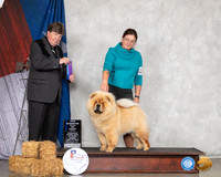 Chow #12 Sun WB NCh Maj Judge Charles Olvis