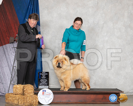 Chow #12 Sun WB NCh Maj Judge Charles Olvis__SR_8867_Amrilo2019-HR3