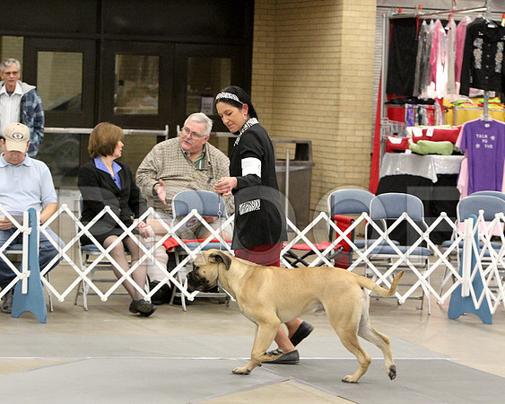 6-9PupSweeps-6509
