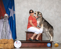 Alaskan Malamute Custom Sun