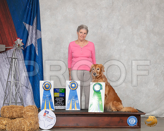 Golden Retriever #26 Sun HIT__SR_8948_Amrilo2019-HR3