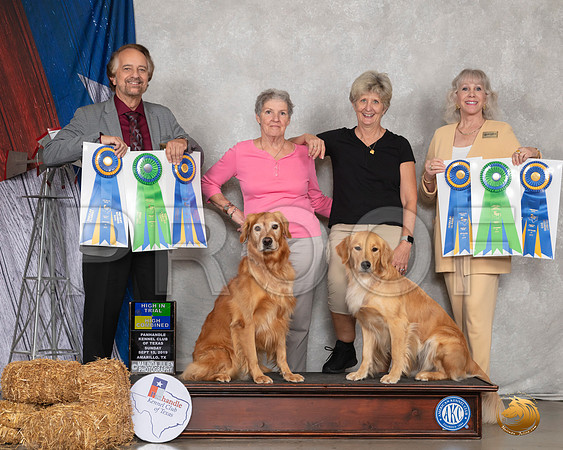 Golden Retriever #26 Sun HIT HIC __SR_8941_Amrilo2019-HR3