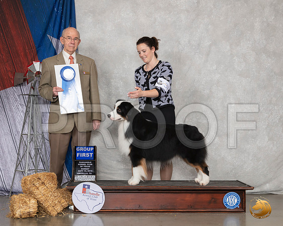 Australian Shepherd #33 Sun G1 Judge Kenneth Buxton__SR_9144_Amrilo2019-HR3