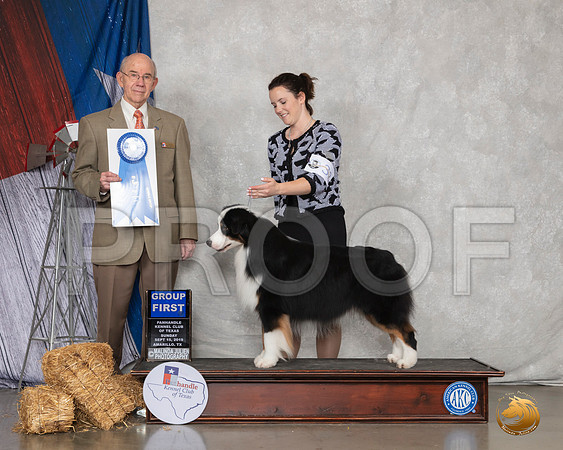 Australian Shepherd #33 Sun G1 Judge Kenneth Buxton__SR_9145_Amrilo2019-HR3