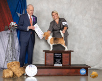 Beagle 13 #10 Sun G4 Judge Robert Hutton