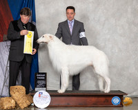 Borzoi #5 Fri G3 Judge Charles Olvis
