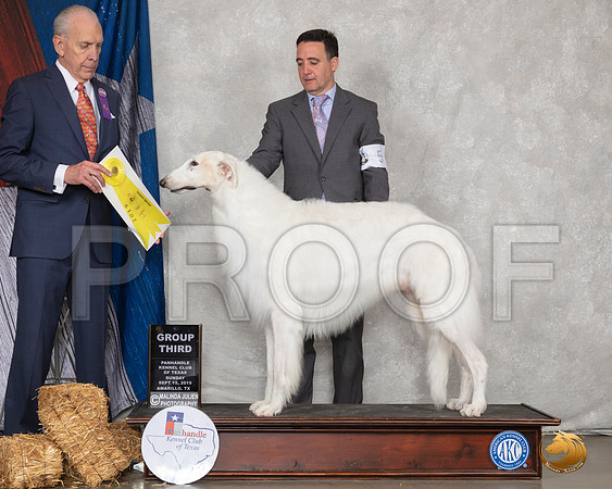 Borzoi #5 Sun G3 Judge Robert Hutton__SR_9081_Amrilo2019-HR3