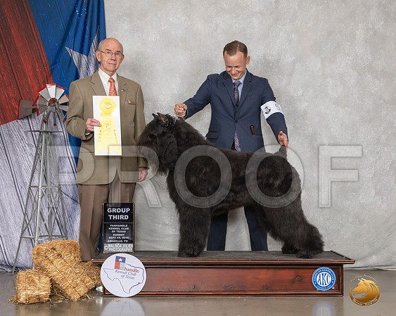 Bouvier des Flanders #5 Sun G3 Judge Kenneth Buxton__SR_9149_Amrilo2019-HR3