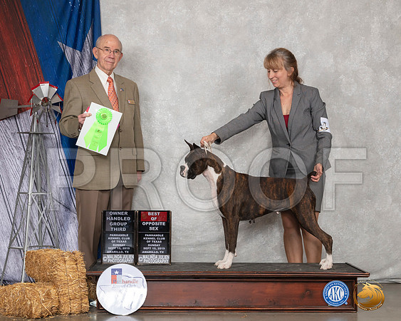 Boxer #6 Sun OHG2 Judge Kenneth Buxton__SR_9017_Amrilo2019-HR3