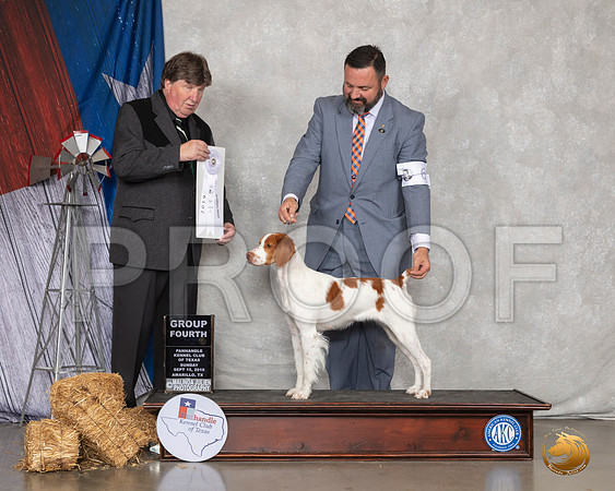 Brittany #6 Sun G4 Judge Charles Olvis__SR_9159_Amrilo2019-HR3