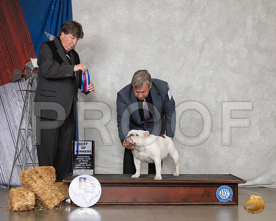 Bulldog #6 Sun BOW Judge Charles Olvis__SR_9124_Amrilo2019-HR3