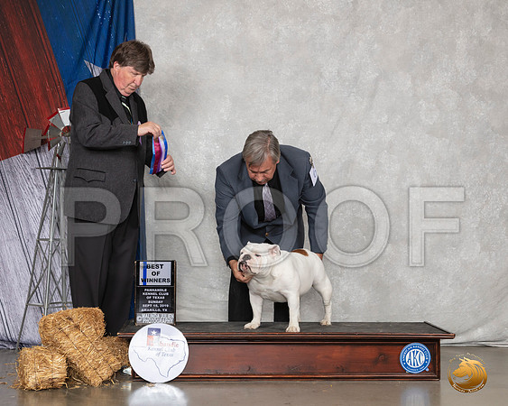 Bulldog #6 Sun BOW Judge Charles Olvis__SR_9125_Amrilo2019-HR3