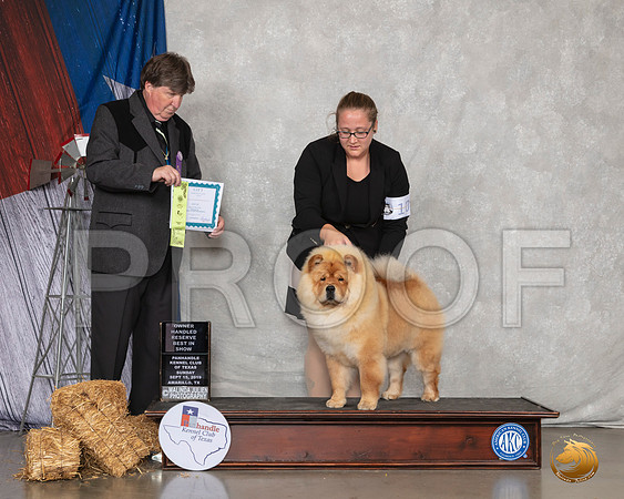 Chow #10 Sun OHRBIS Judge Charles Olvis__SR_9153_Amrilo2019-HR3