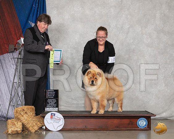 Chow #10 Sun OHRBIS Judge Charles Olvis__SR_9156_Amrilo2019-HR3