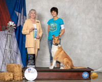 Collie Smooth #R31 Sun RNB1st Judge Bonnie Lee