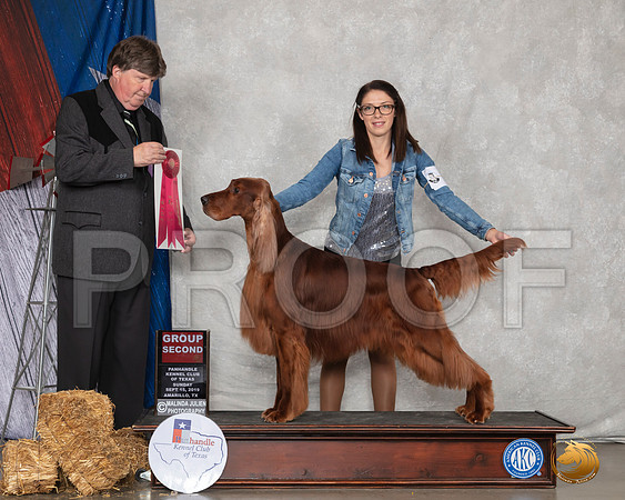 Irish Setter #5 Sun G2 Judge Charles Olvis__SR_9077_Amrilo2019-HR3