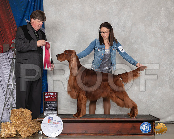 Irish Setter #5 Sun G2 Judge Charles Olvis__SR_9078_Amrilo2019-HR3