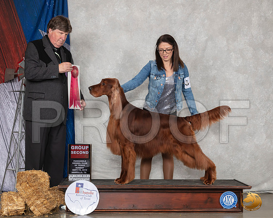 Irish Setter #5 Sun G2 Judge Charles Olvis__SR_9079_Amrilo2019-HR3