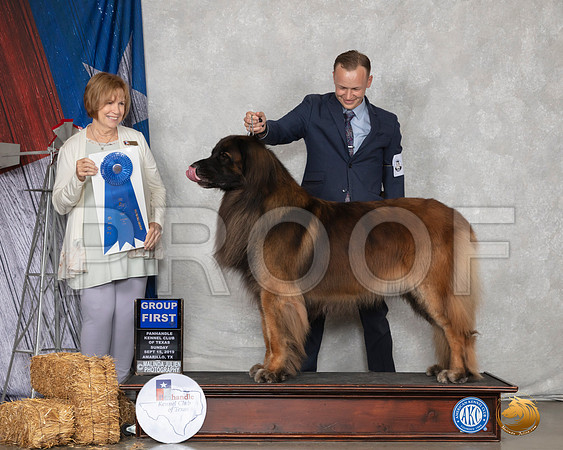 Leonberger #5 Sun G1 Judge Nancy Liebes__SR_8961_Amrilo2019-HR3