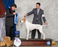 Pointer #5 Sun G1 Judge Charles Olvis