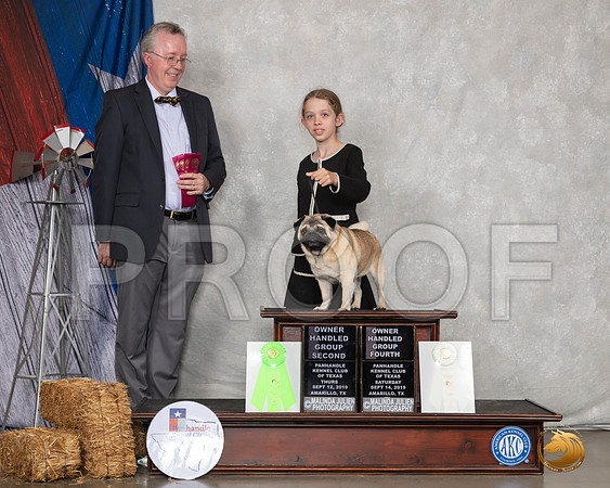 Pug #7 Sun OHG4__SR_9044_Amrilo2019-HR3