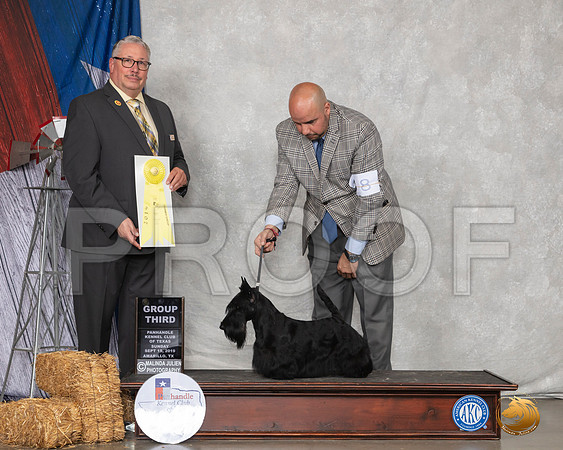 Scottish Terrier #8 Sun G3 Judge John Booth__SR_9029_Amrilo2019-HR3