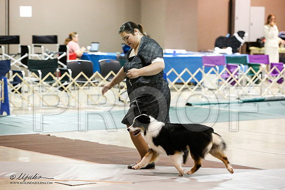_JN_4788-ASCACollegeStationNov2014-HR3