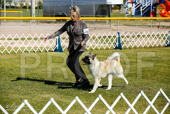 _JJ_9866-AlamogordoOct2014-HR3