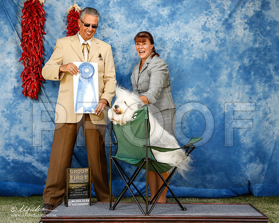 _ST_3769-2-AlamogordoOct2014-HR3