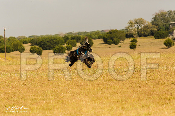 _MJ_3995-AfgBeltonOct2014-HR3