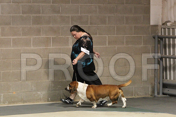 BassetCCL_1376LR