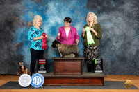 Cairn Terrier #5 Sat G2 Judge Lisa Graser