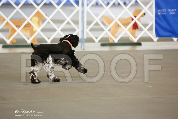 _JN_8655-DallasJul2014-HR3