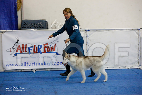 _M3_0575-AddisonHuskyMar2015-HR3