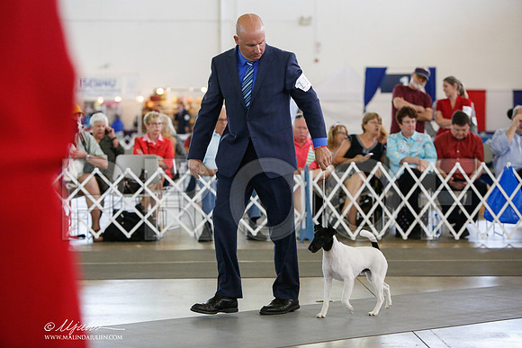 _JJ_2367-DalJul2014-HR3