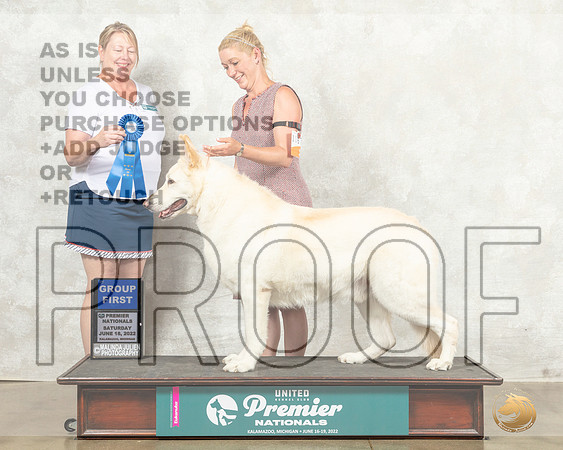 White Shepherd #1167 G1 Judge Pamela Perdue__MJ_8613_Premier_2022_HR3