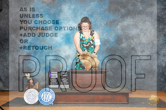 Pomeranian #10 Sun WB Judge Pam Wilson__JP_8569_MARSHALL_2024_HR3